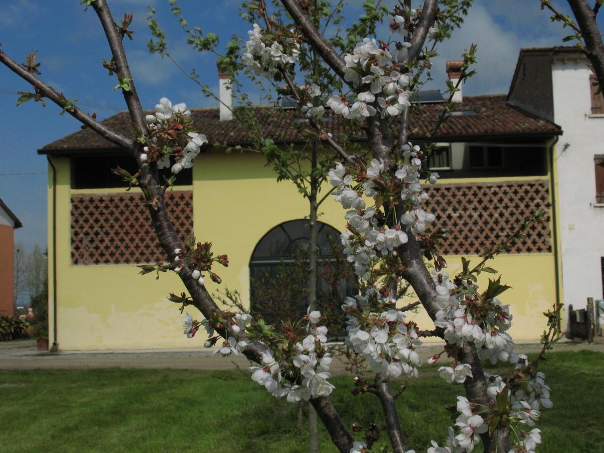 B&B Corte Cornalino Roverbella Exterior photo